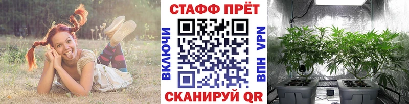 Виды наркотиков купить Сертолово КОКАИН  КЕТАМИН  Гашиш  СОЛЬ  Марихуана  Меф  Галлюциногенные грибы 