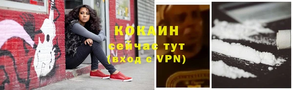 мяу мяу мука Новозыбков