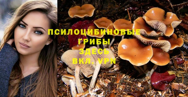 apvp Новодвинск