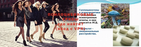 мяу мяу мука Новозыбков