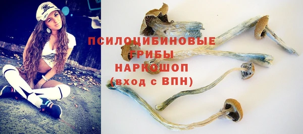 apvp Новодвинск