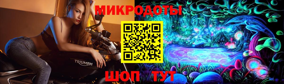Псилоцибиновые грибы Psilocybe  Галлюциногенные грибы MAGIC MUSHROOMS  Вход с VPN  Сертолово 